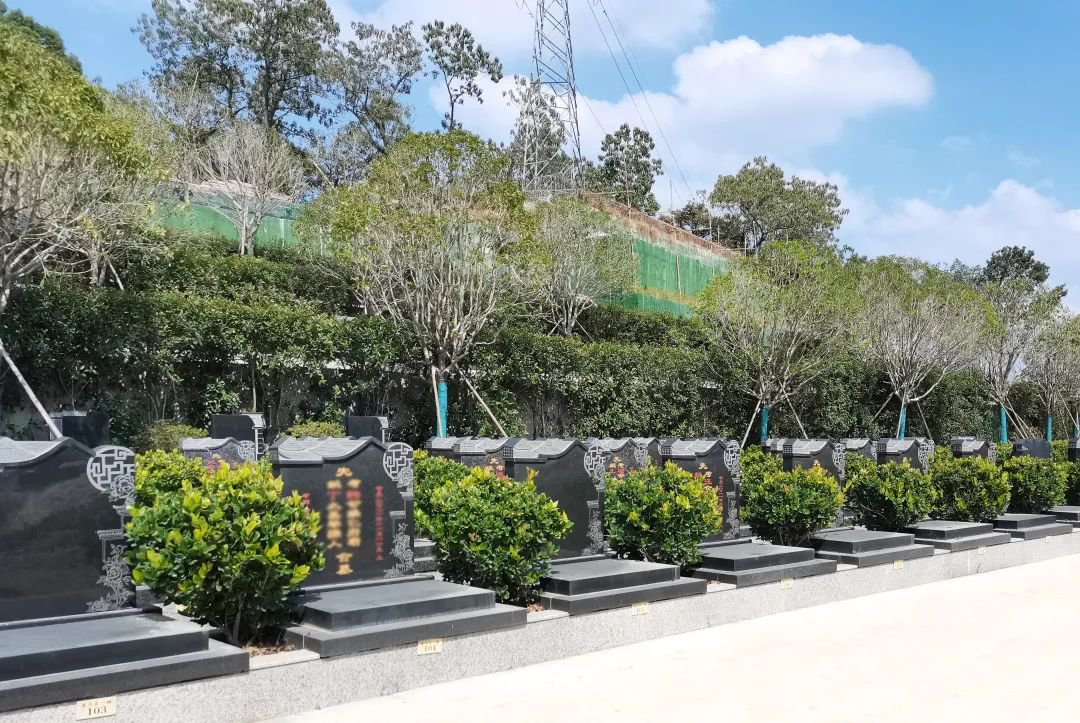 亿万先生MR·(中国集团)官方网站