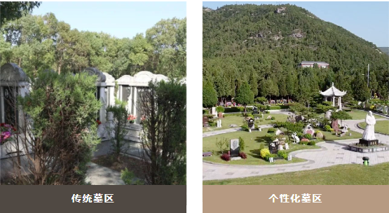 亿万先生MR·(中国集团)官方网站