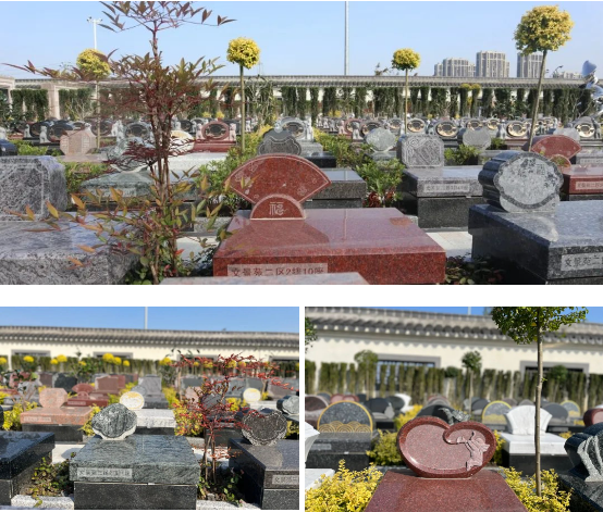 亿万先生MR·(中国集团)官方网站