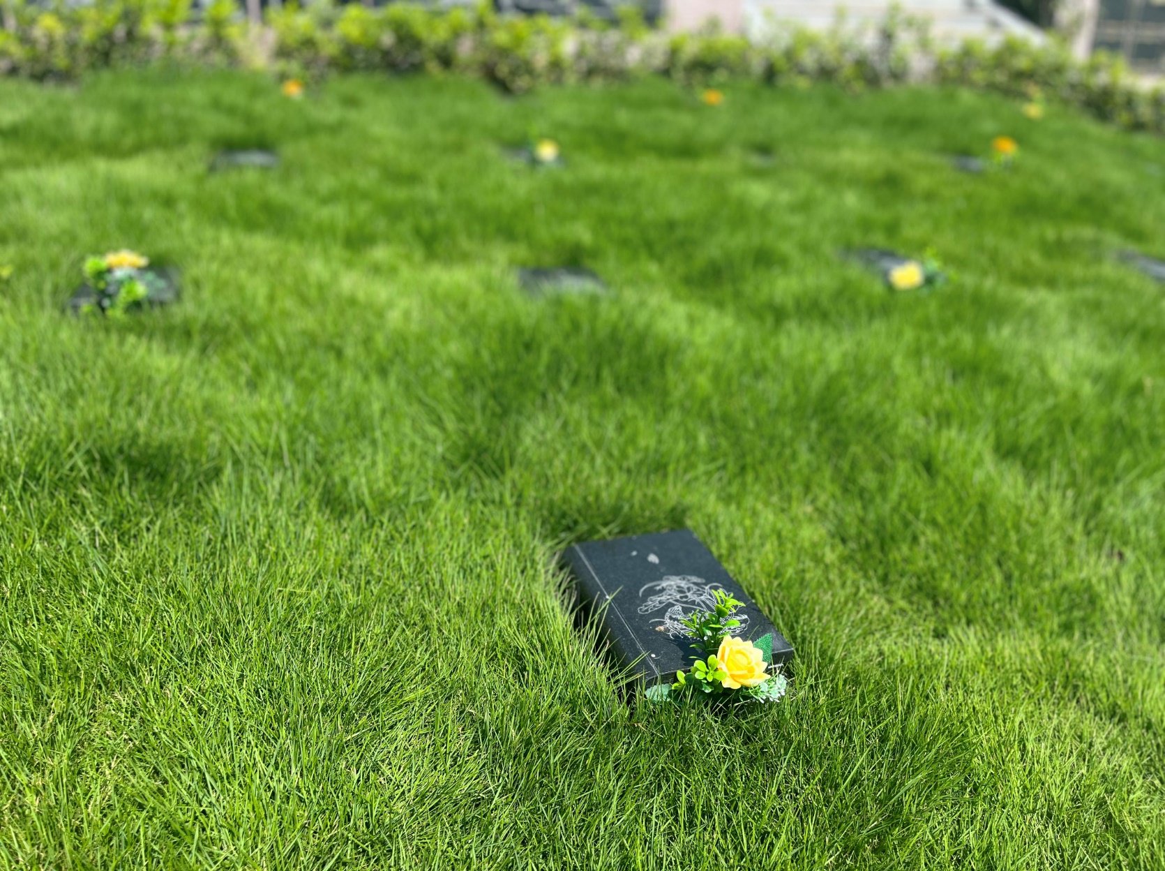 亿万先生MR·(中国集团)官方网站