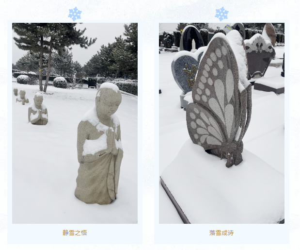 亿万先生MR·(中国集团)官方网站