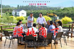 《樱桃崮下》给亿万先生MR的启发