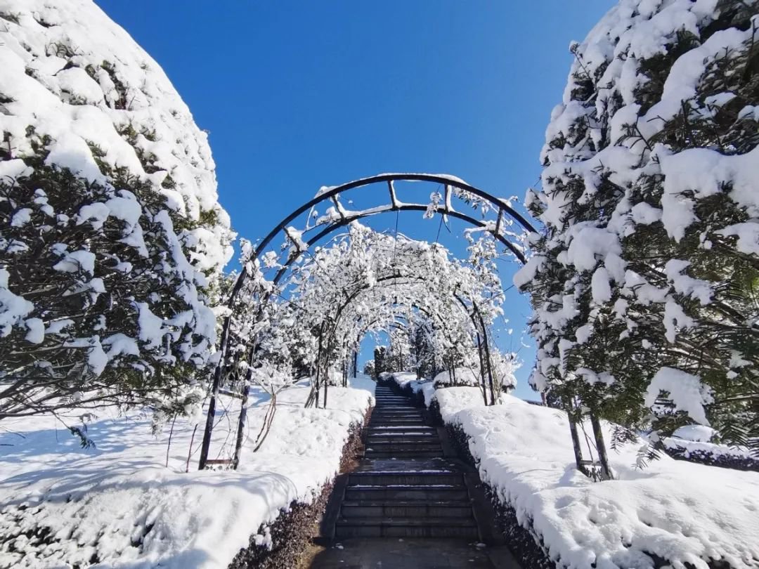 亿万先生MR·(中国集团)官方网站