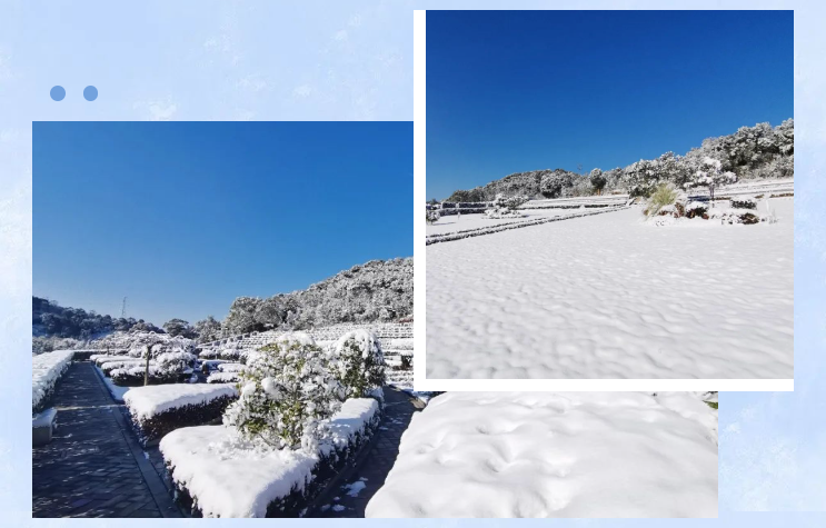 亿万先生MR·(中国集团)官方网站