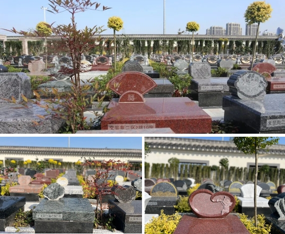 亿万先生MR·(中国集团)官方网站