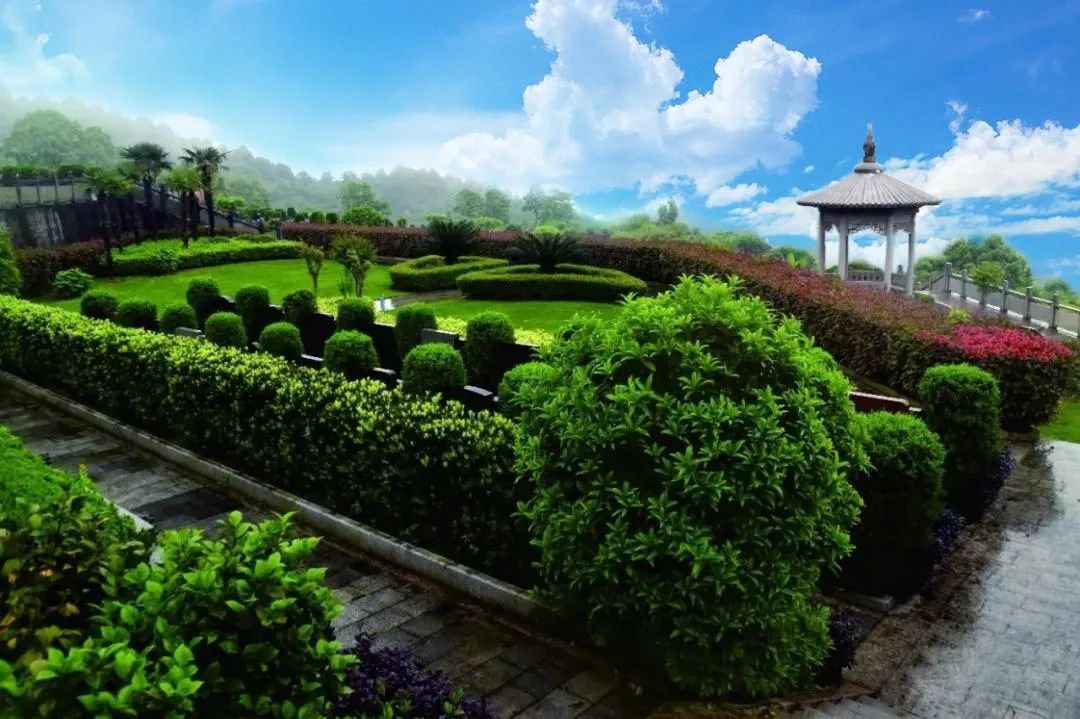 亿万先生MR·(中国集团)官方网站