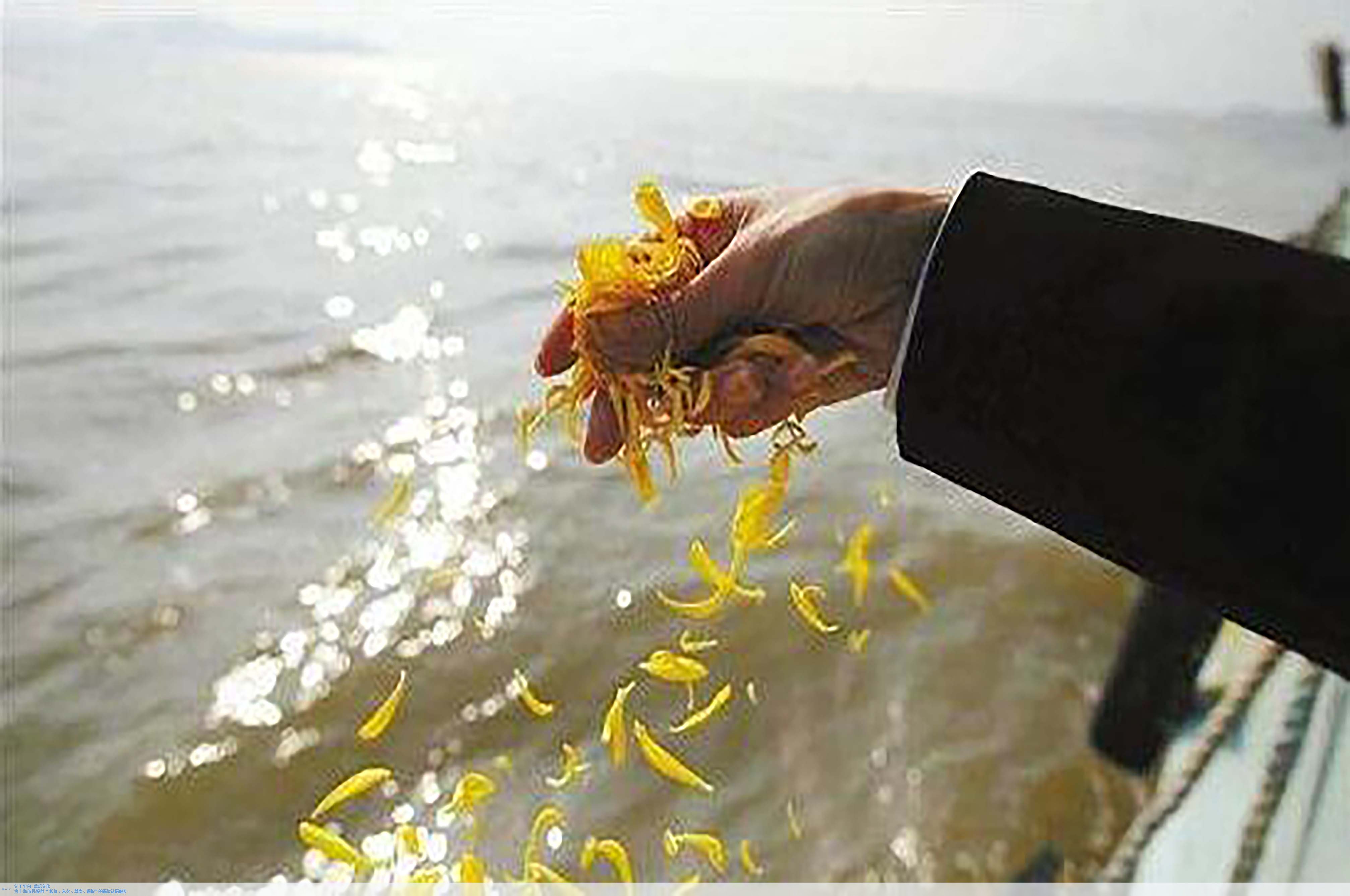 亿万先生MR·(中国集团)官方网站