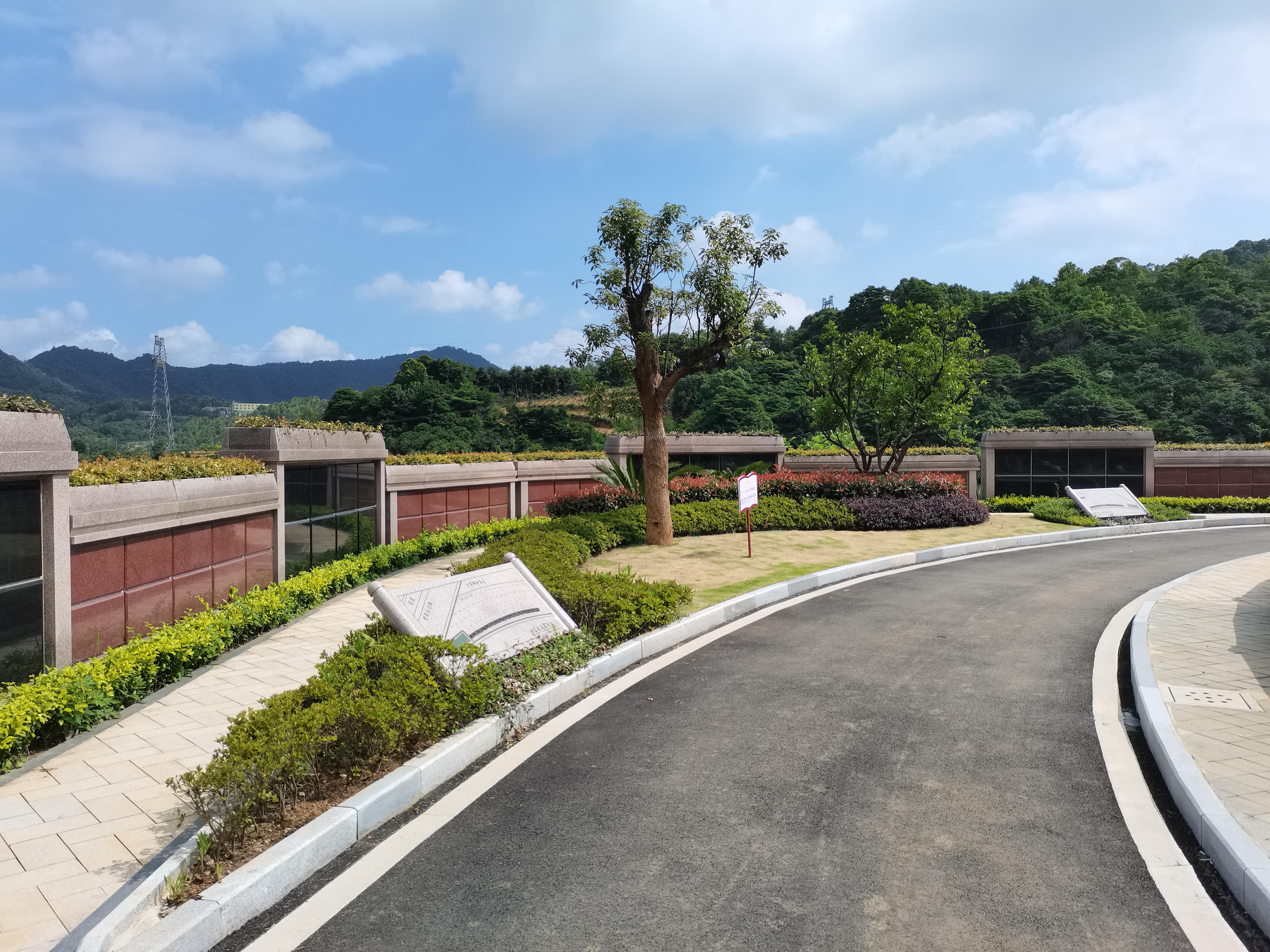 海葬和树葬哪个好？？？？？？？两种生态葬祭方法的选择与意义