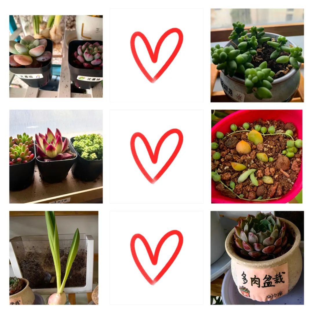 亿万先生MR·(中国集团)官方网站