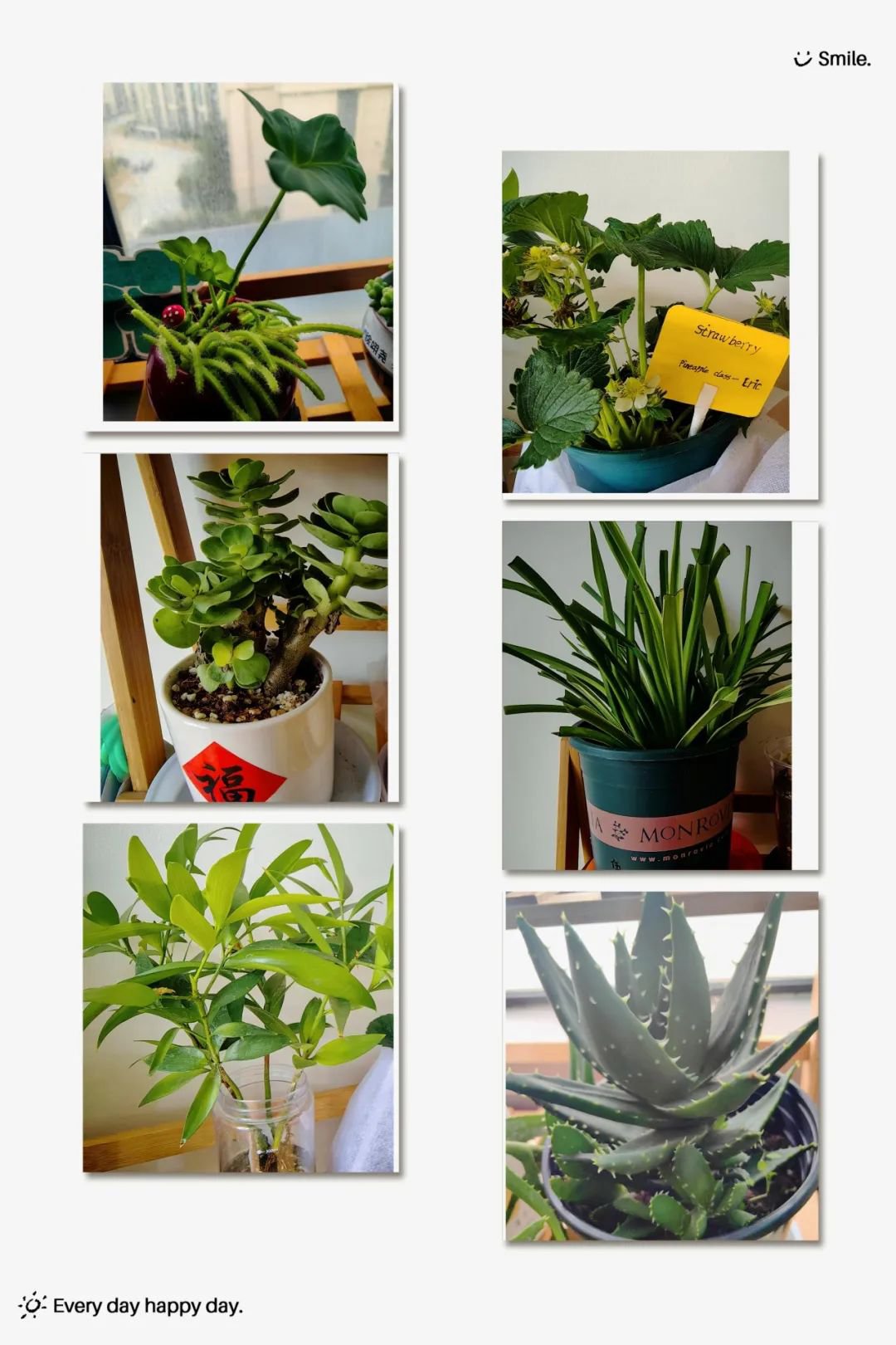 亿万先生MR·(中国集团)官方网站