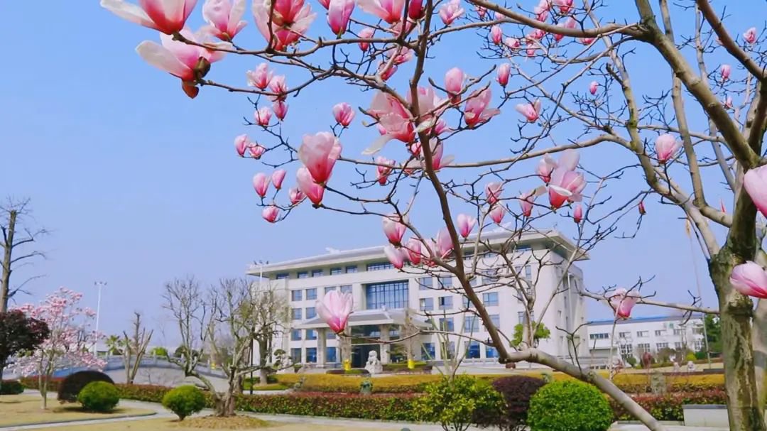 亿万先生MR·(中国集团)官方网站