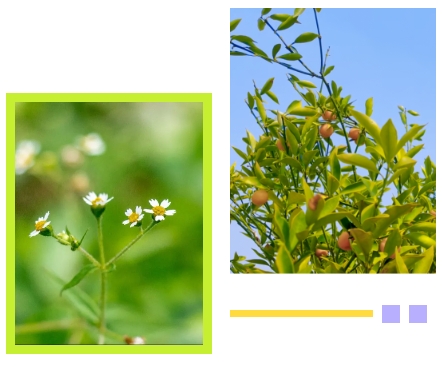 亿万先生MR·(中国集团)官方网站