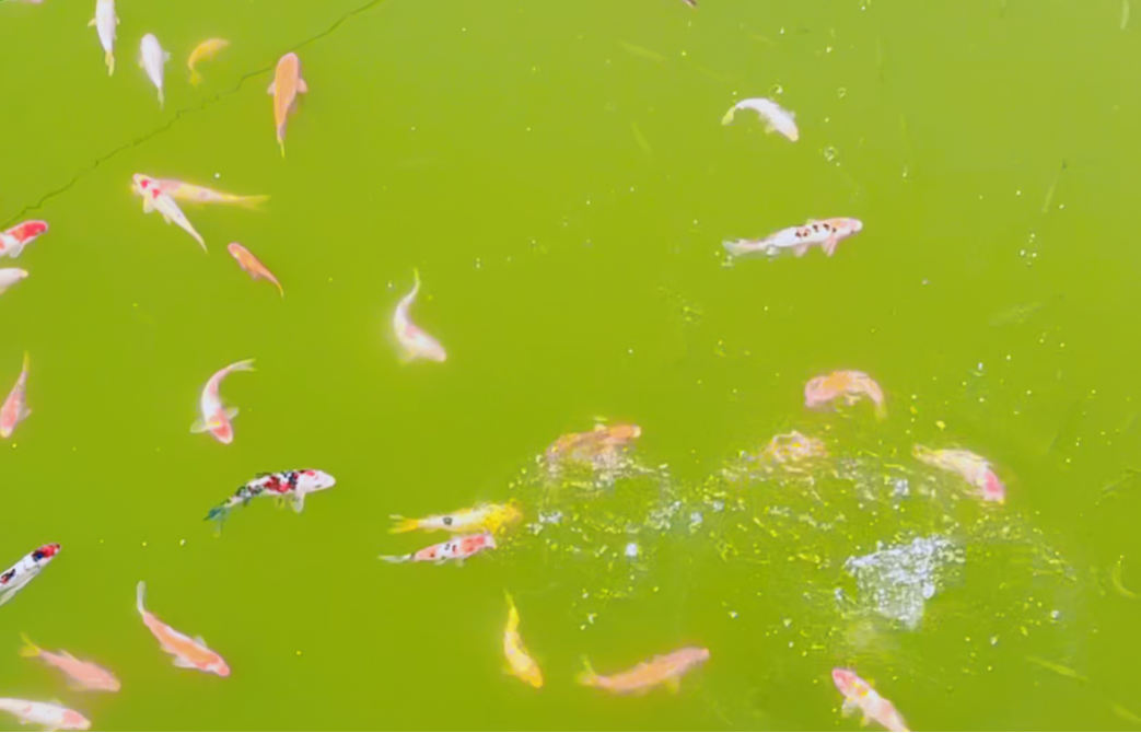 亿万先生MR·(中国集团)官方网站