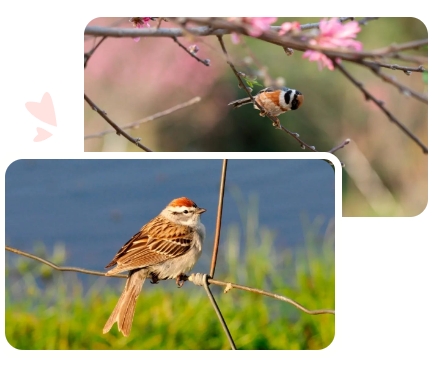 亿万先生MR·(中国集团)官方网站