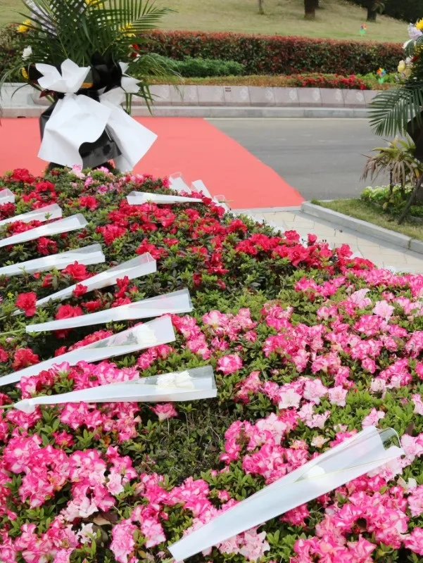 亿万先生MR·(中国集团)官方网站