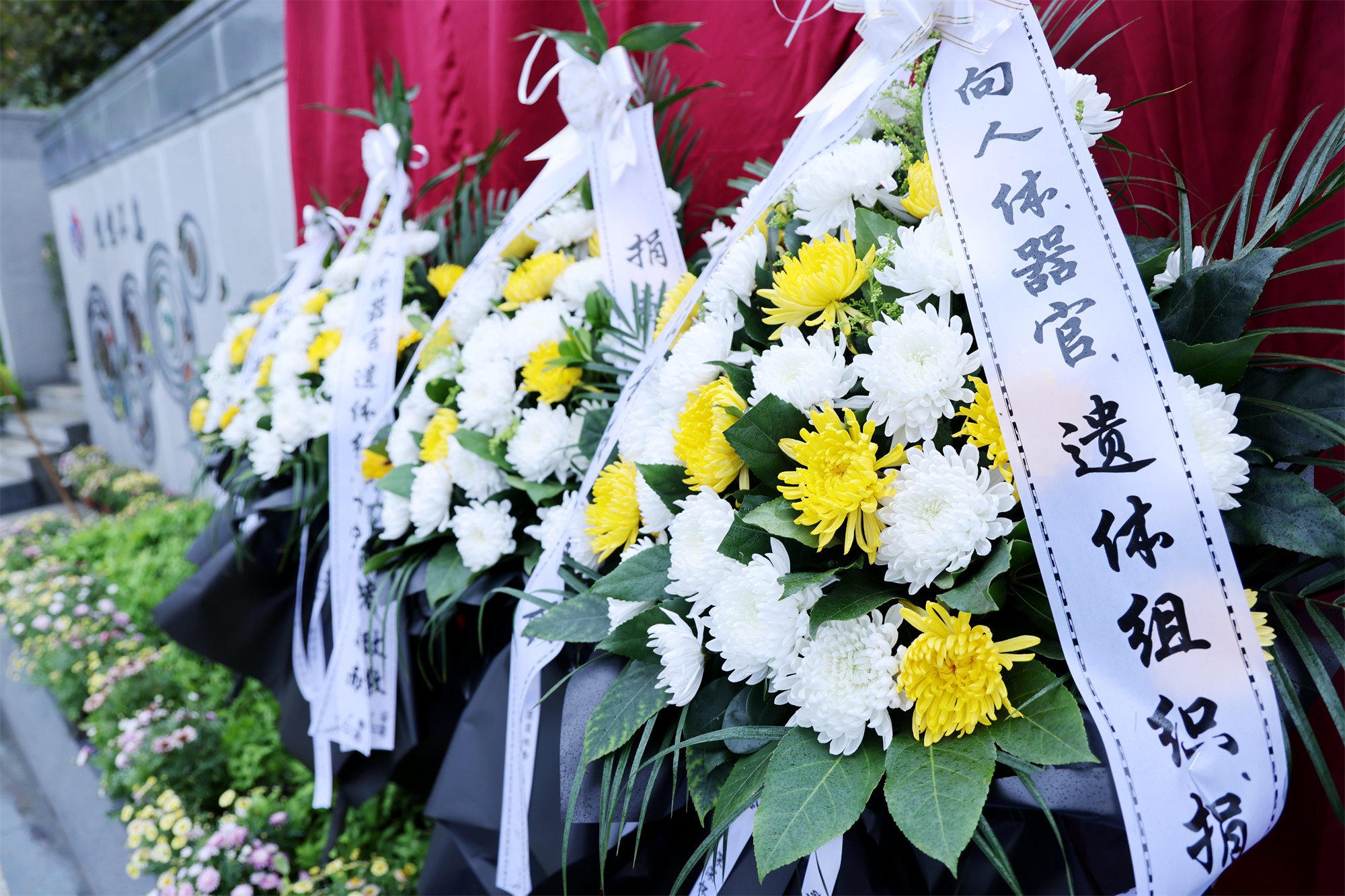 亿万先生MR·(中国集团)官方网站