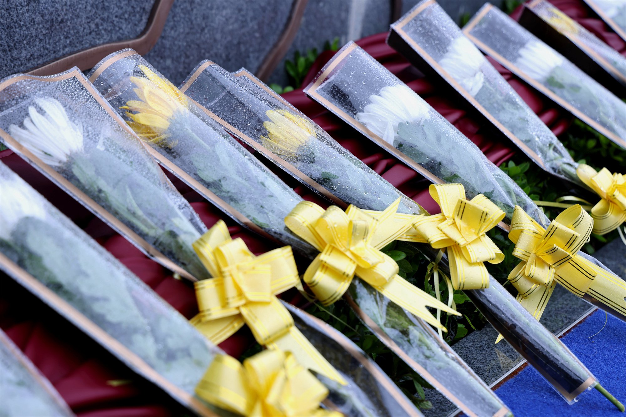 亿万先生MR·(中国集团)官方网站