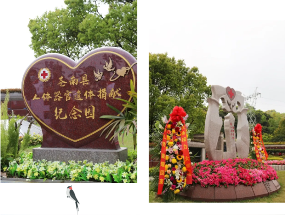 亿万先生MR·(中国集团)官方网站