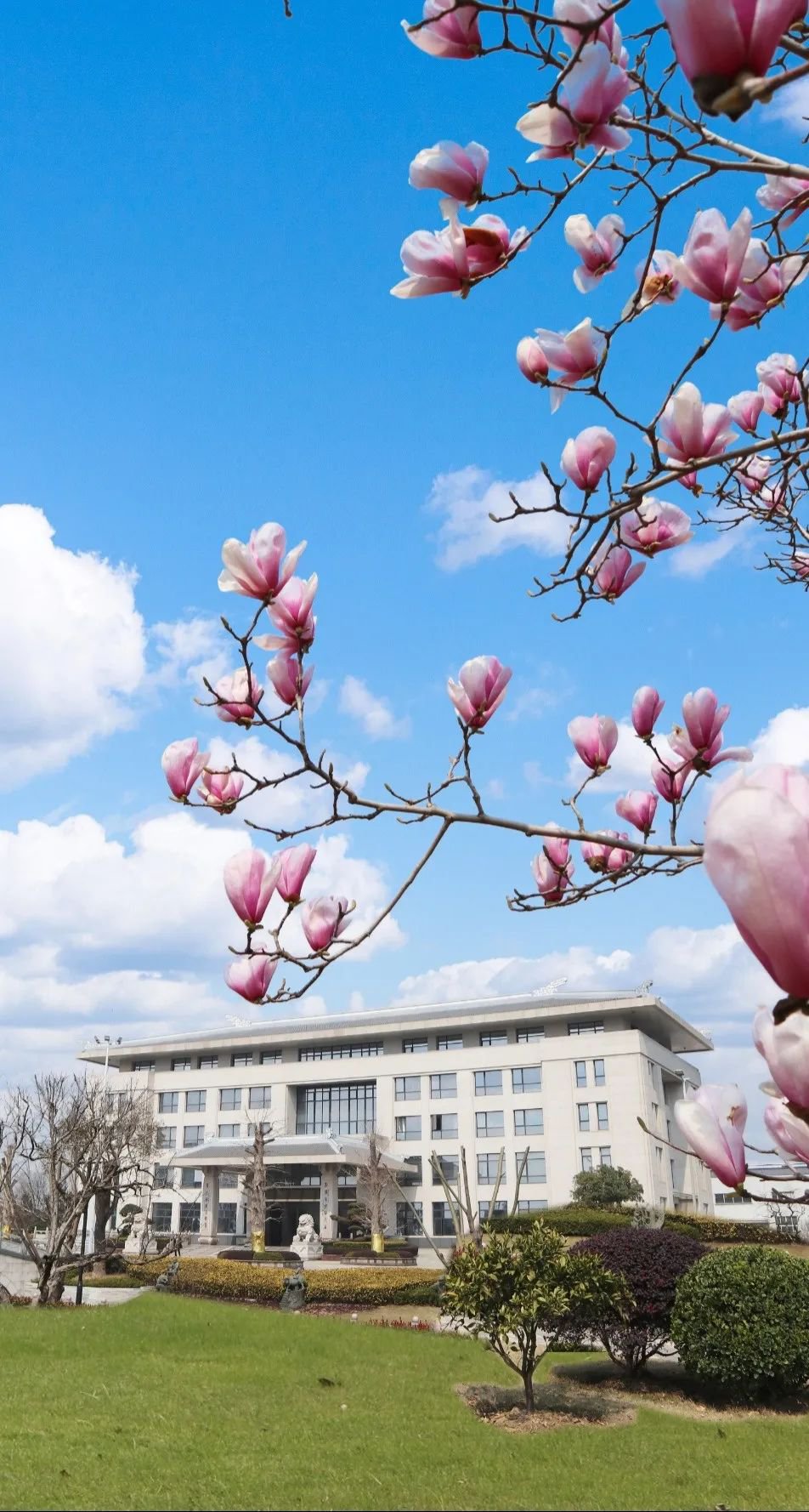 亿万先生MR·(中国集团)官方网站