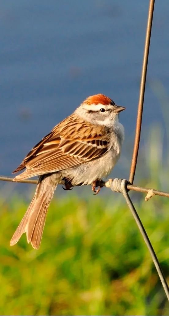 亿万先生MR·(中国集团)官方网站