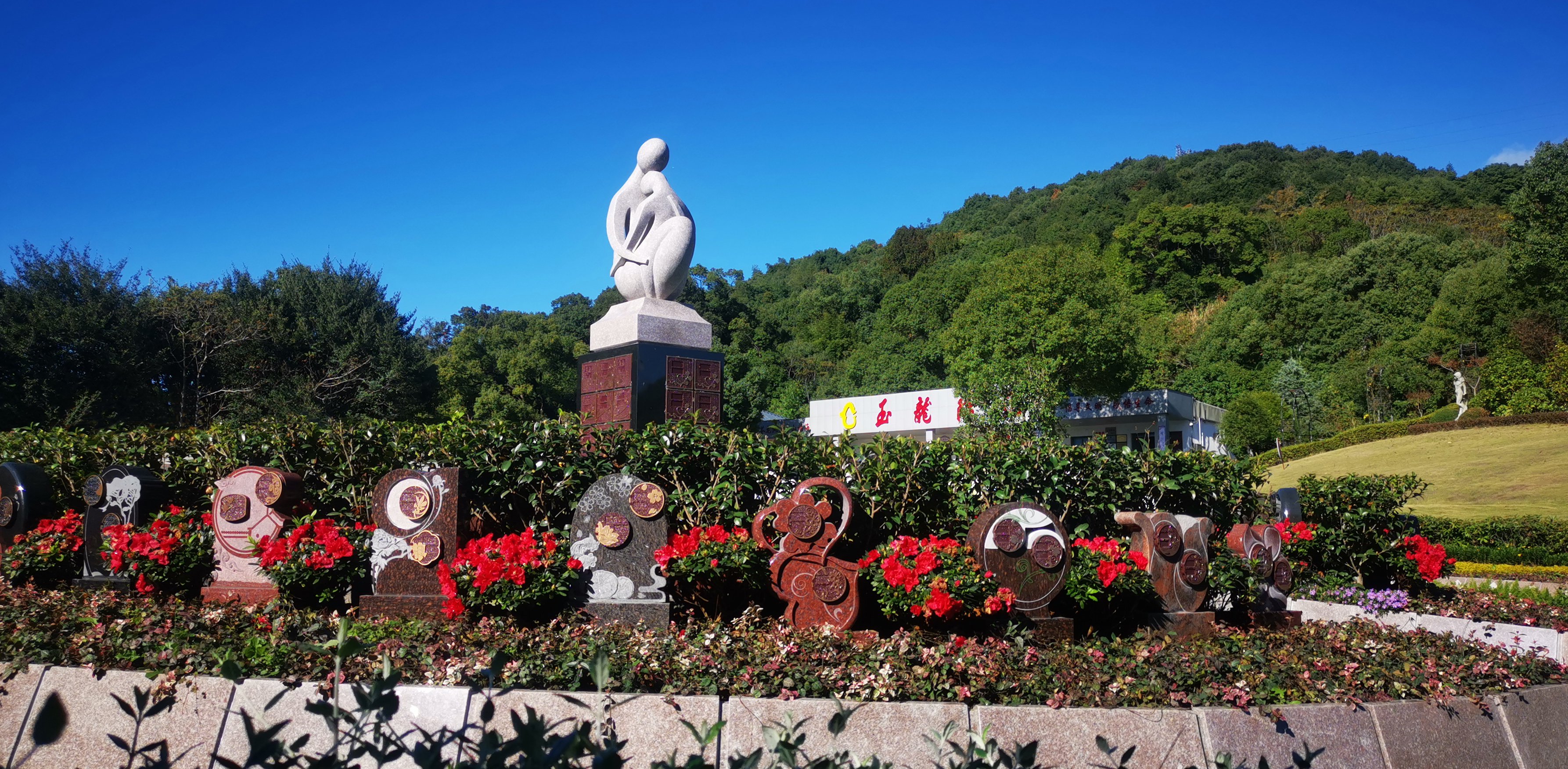 未来，，，，，，，生态葬或将成为主流