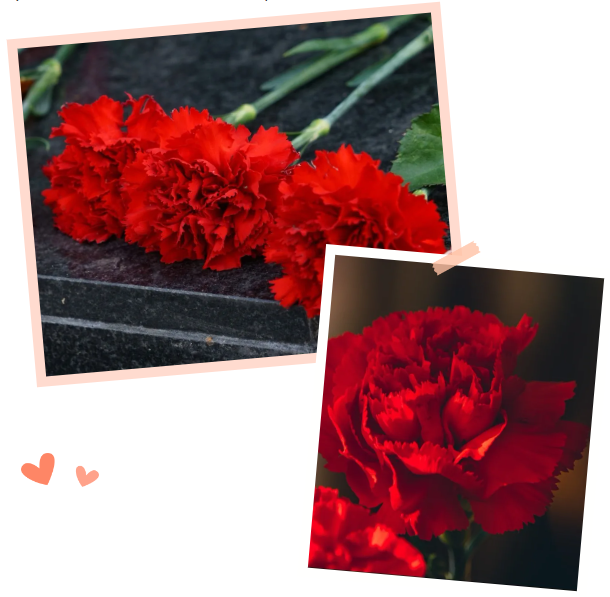 亿万先生MR·(中国集团)官方网站