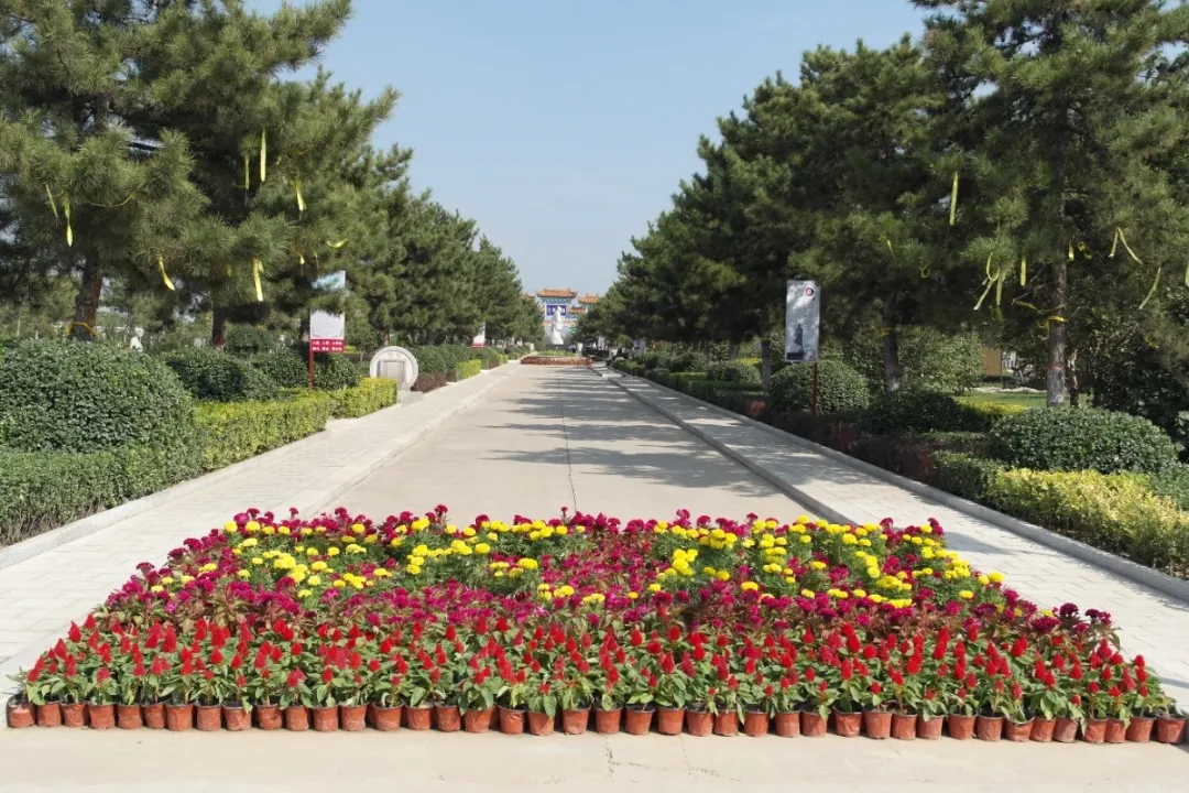 亿万先生MR·(中国集团)官方网站