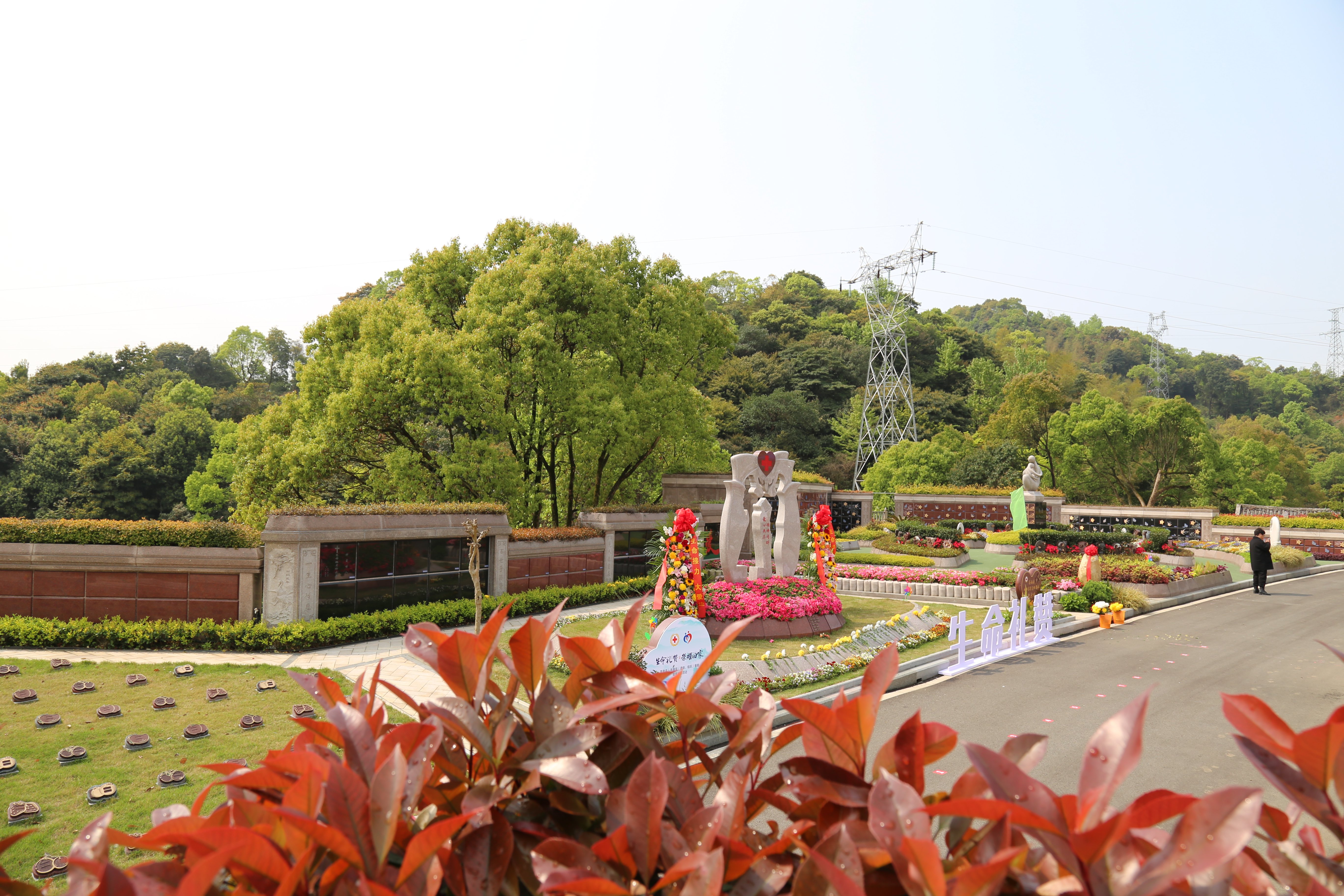 亿万先生MR·(中国集团)官方网站