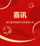 喜讯 | 浙江亿万先生MR再获ISO系统双认证