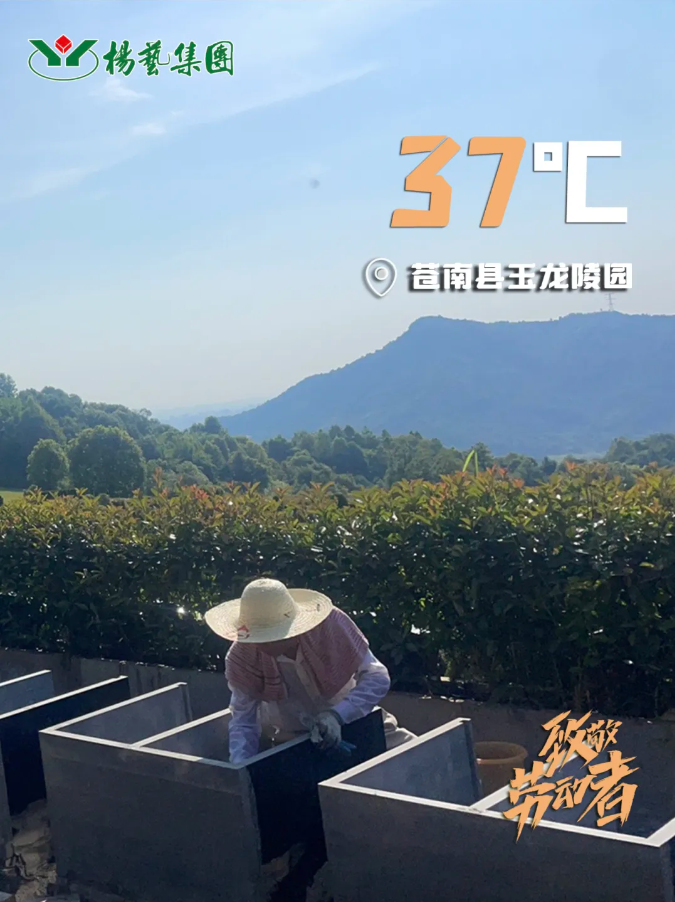 亿万先生MR·(中国集团)官方网站