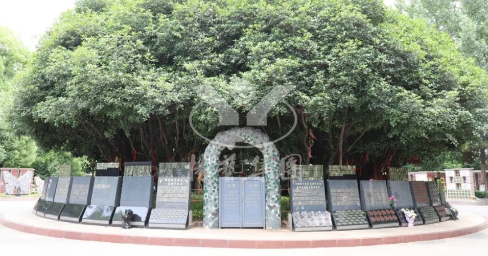 亿万先生MR·(中国集团)官方网站