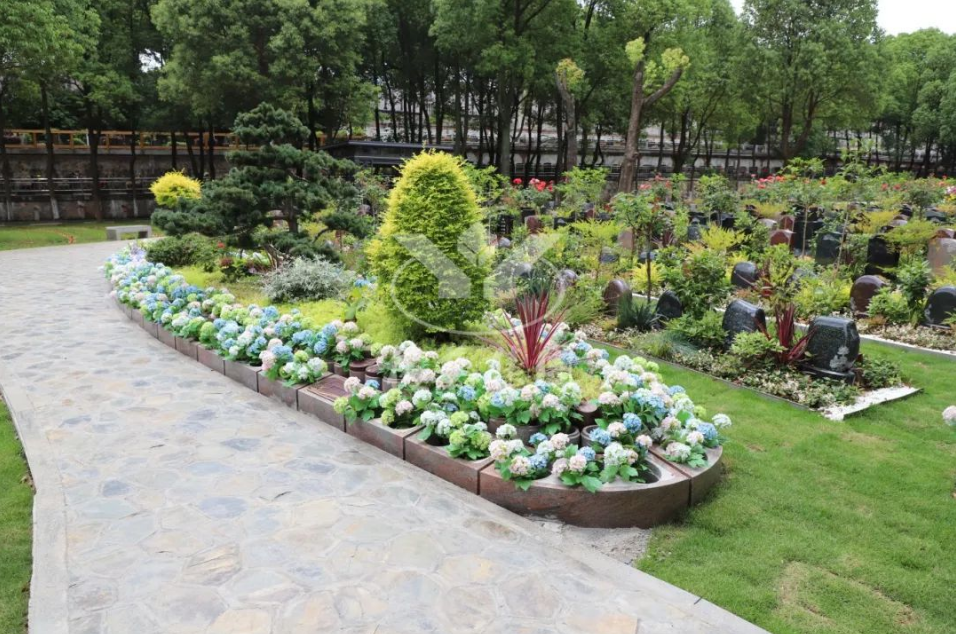 亿万先生MR·(中国集团)官方网站