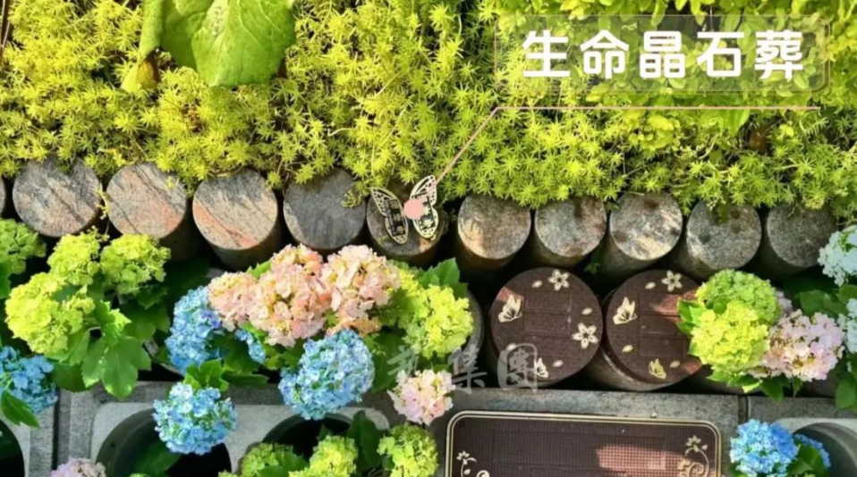 亿万先生MR·(中国集团)官方网站