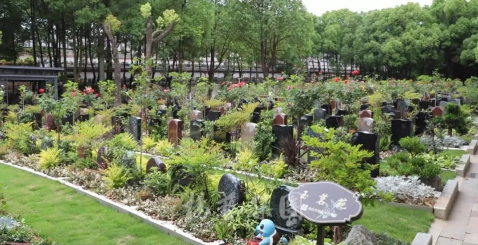 亿万先生MR·(中国集团)官方网站