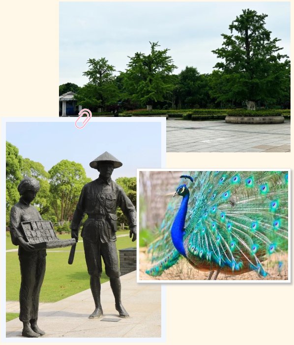 亿万先生MR·(中国集团)官方网站