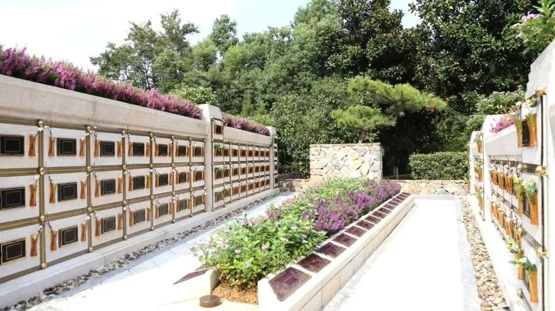 亿万先生MR·(中国集团)官方网站