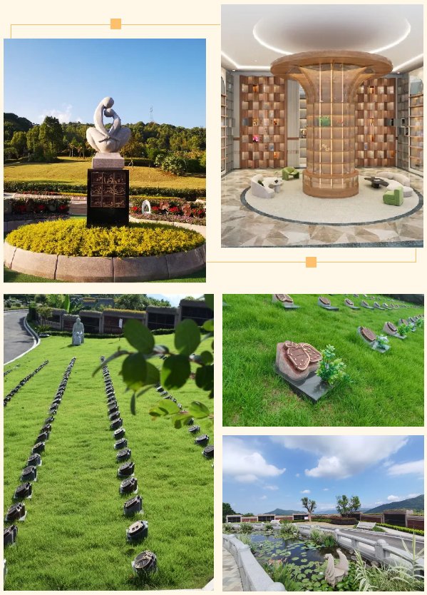 亿万先生MR·(中国集团)官方网站