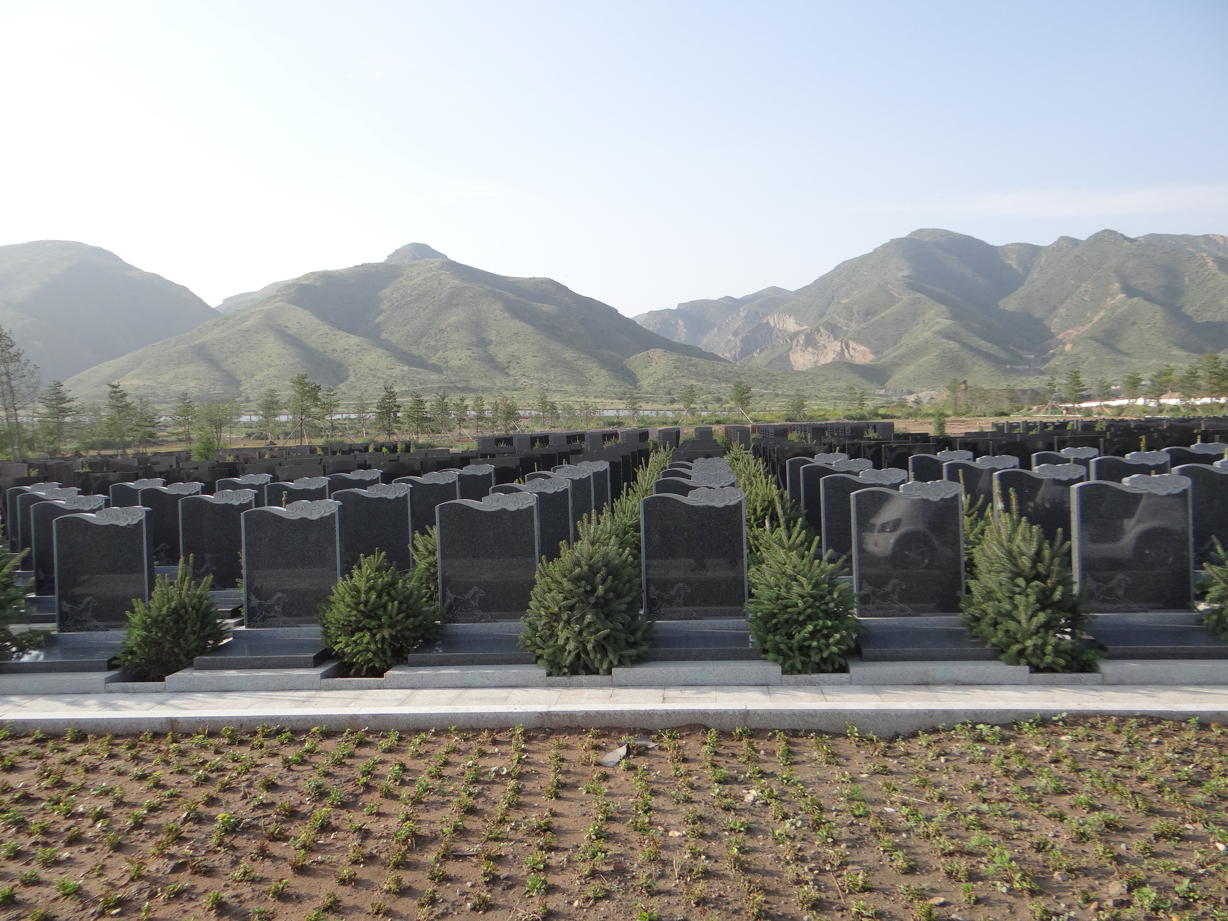 亿万先生MR·(中国集团)官方网站