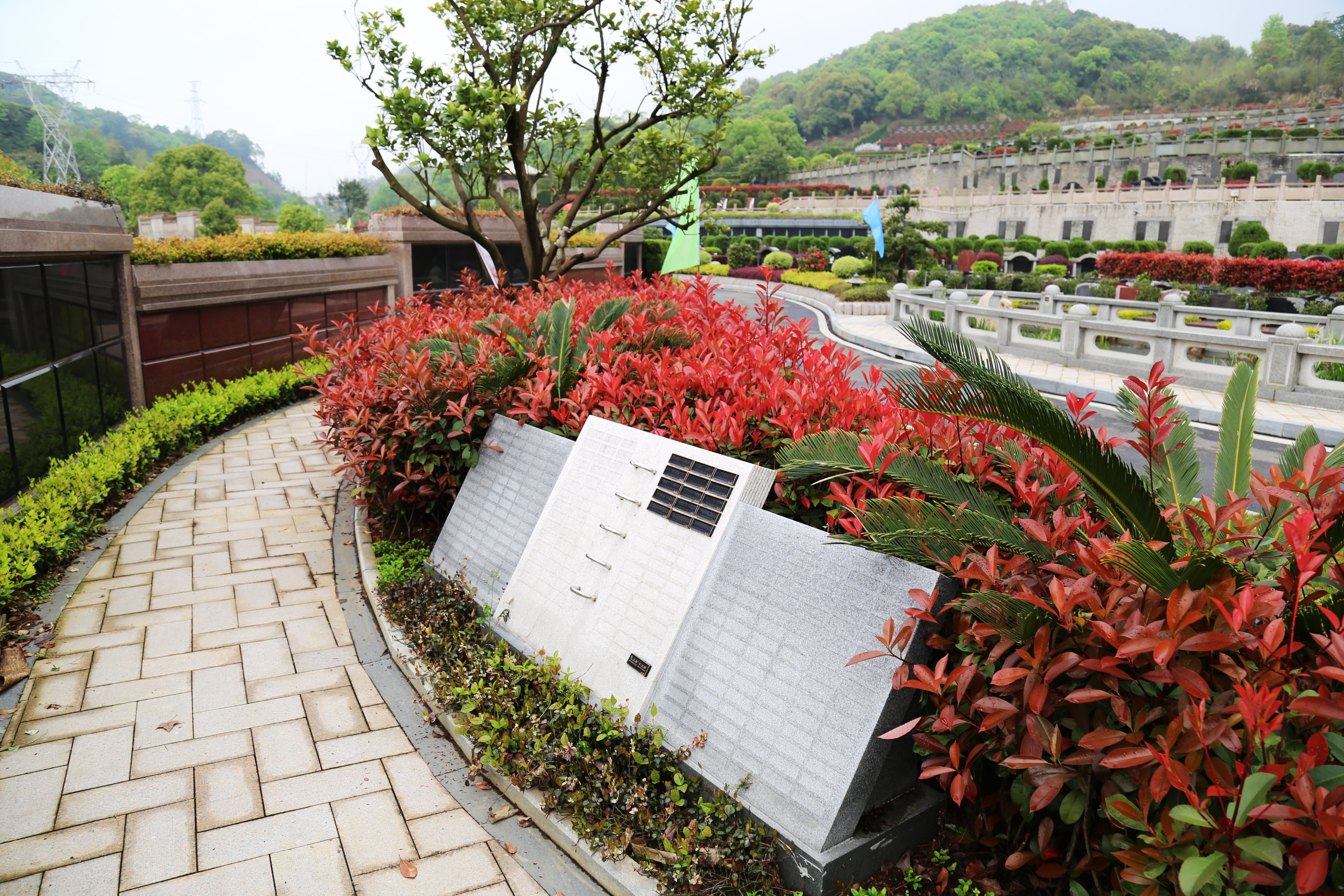 亿万先生MR·(中国集团)官方网站