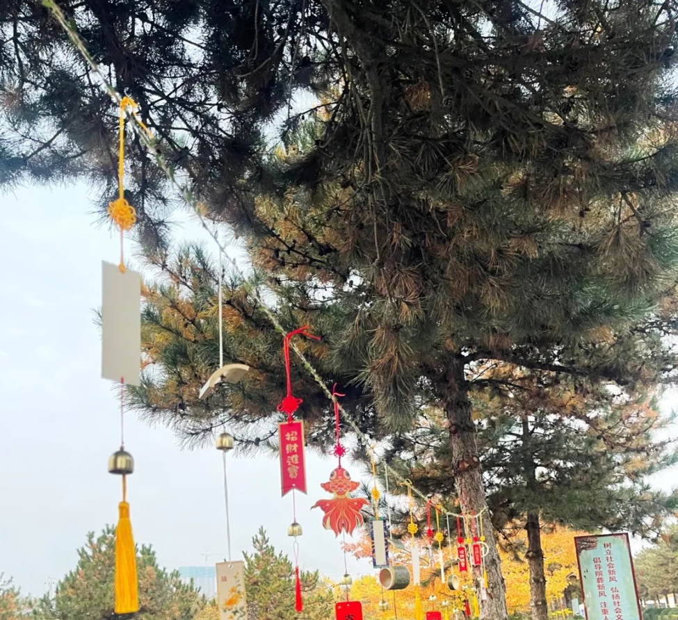 亿万先生MR·(中国集团)官方网站