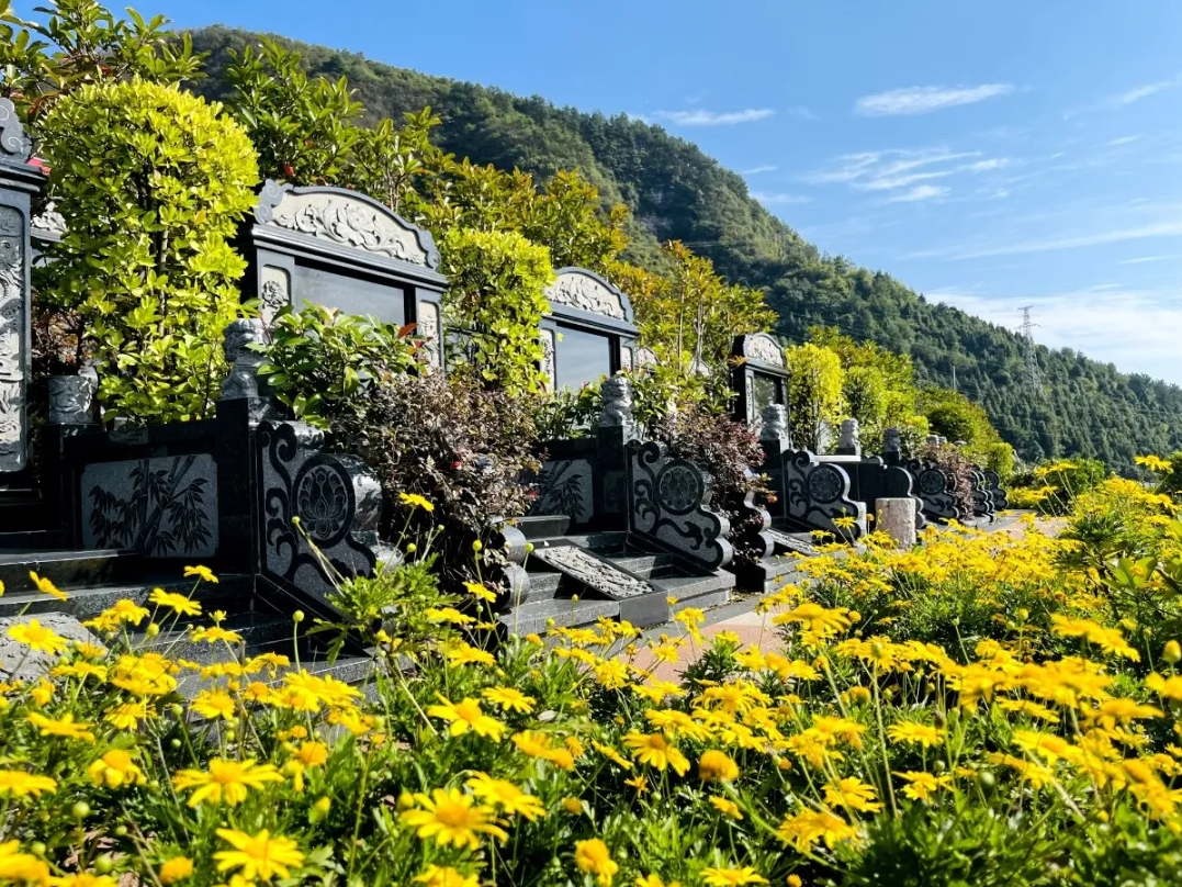 亿万先生MR·(中国集团)官方网站