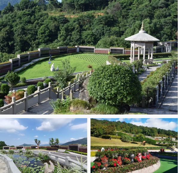 亿万先生MR·(中国集团)官方网站