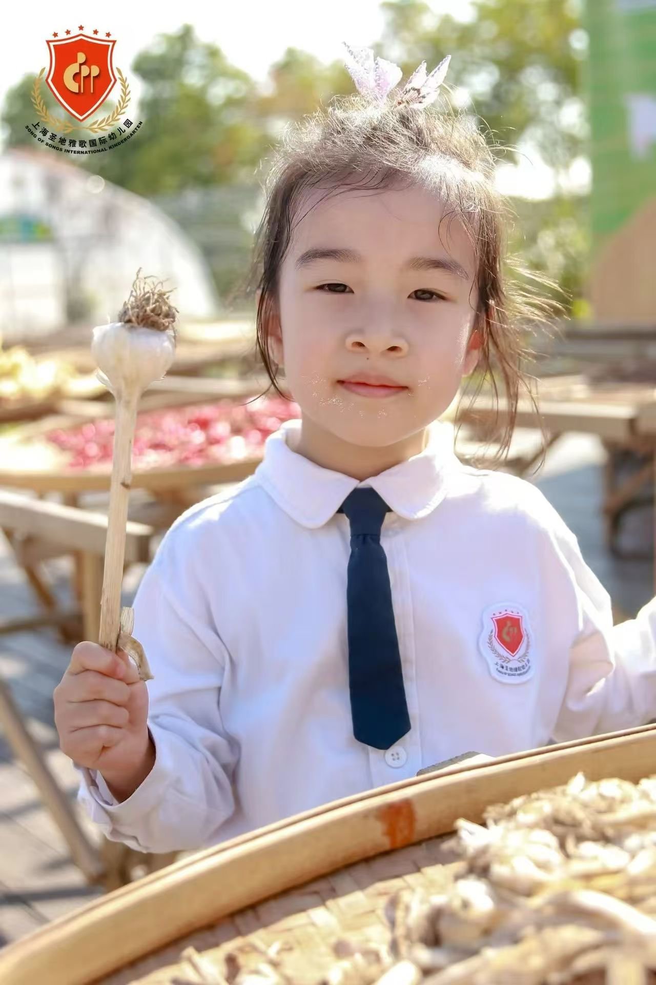 亿万先生MR·(中国集团)官方网站