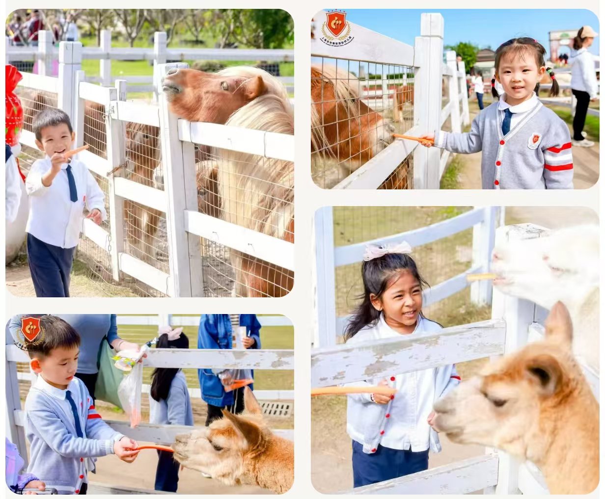 亿万先生MR·(中国集团)官方网站