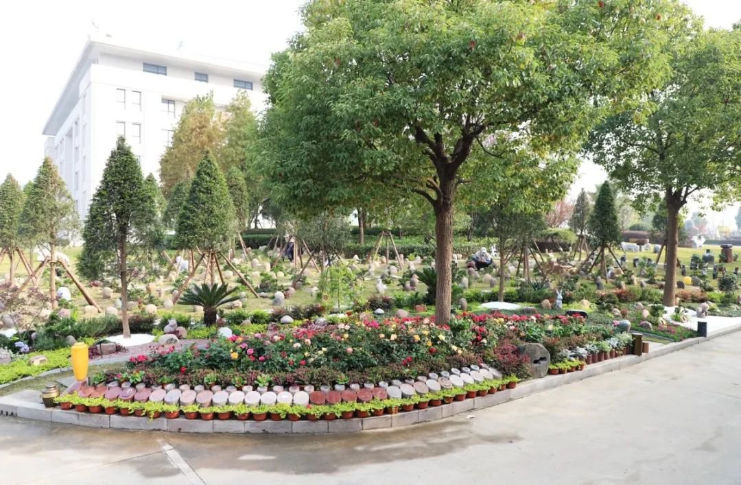 亿万先生MR·(中国集团)官方网站