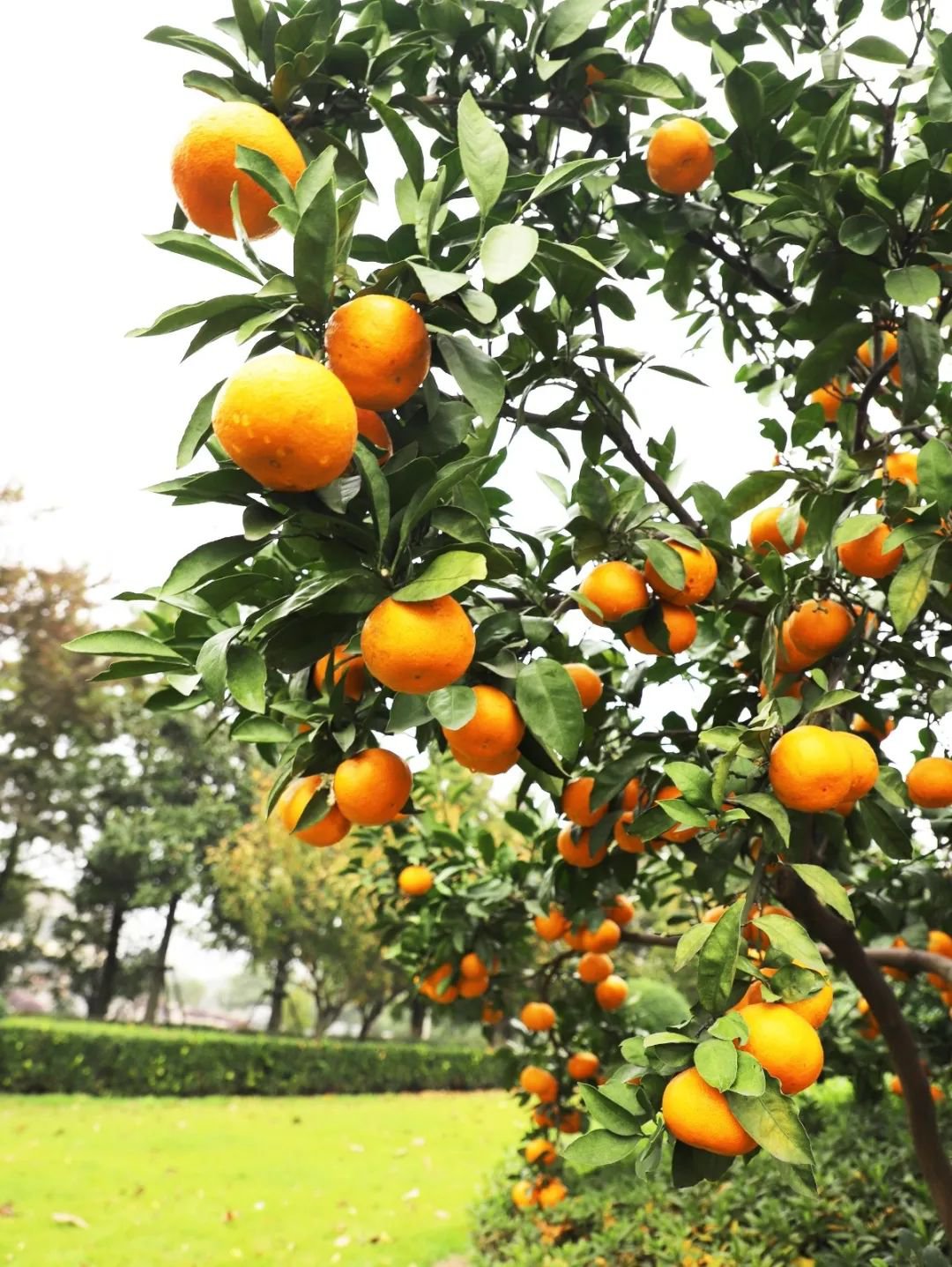 亿万先生MR·(中国集团)官方网站