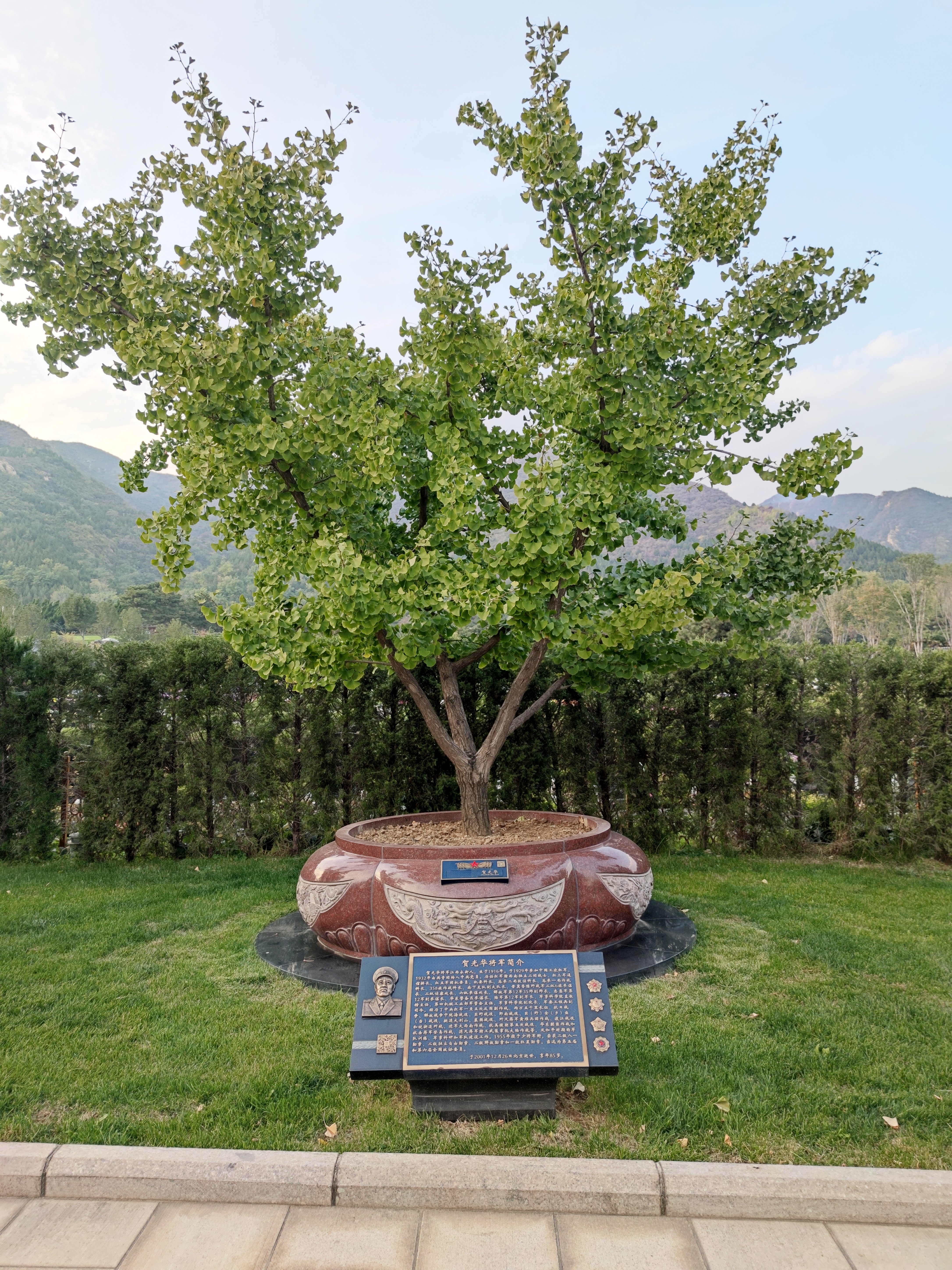 亿万先生MR·(中国集团)官方网站