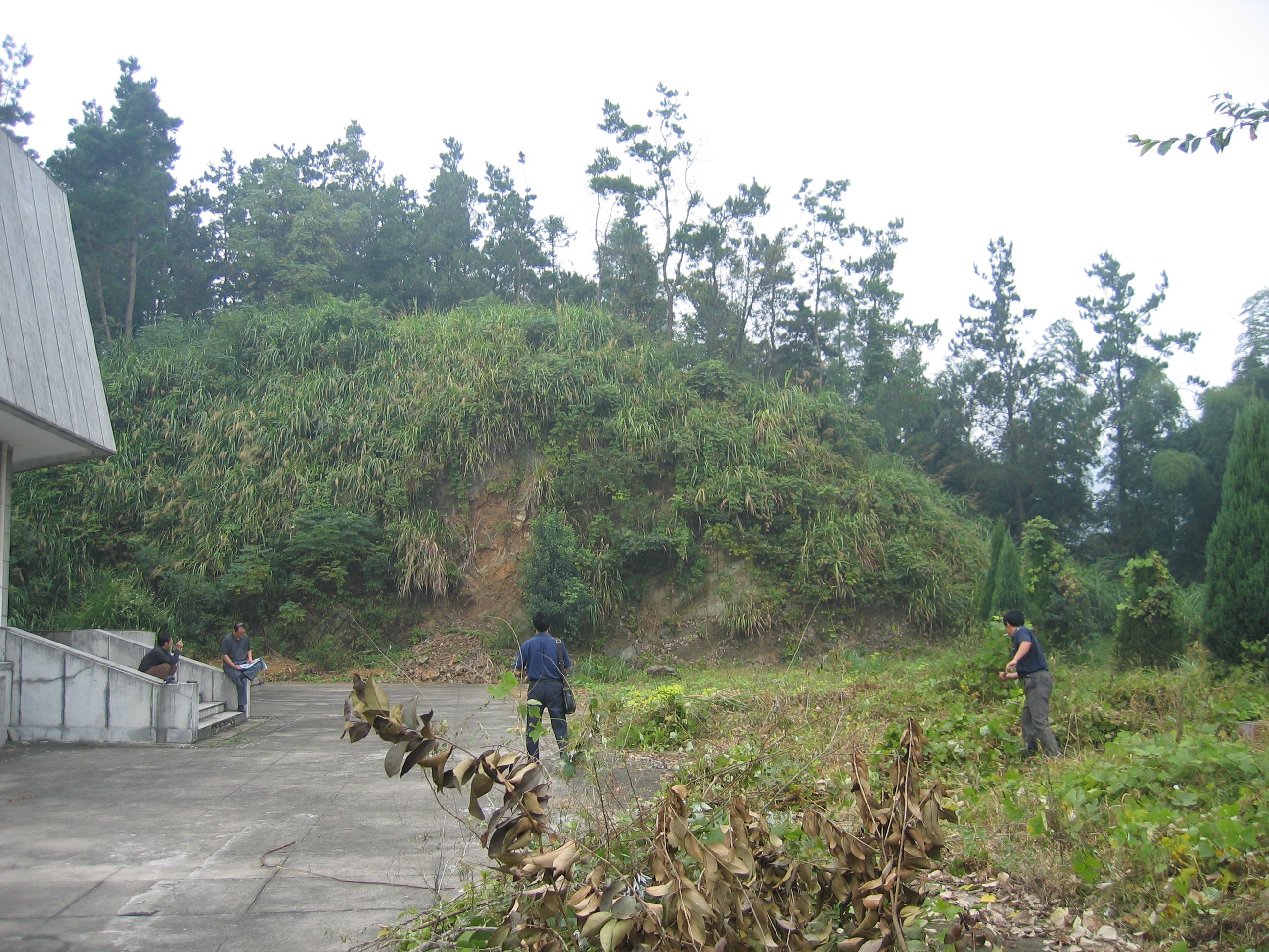 亿万先生MR·(中国集团)官方网站