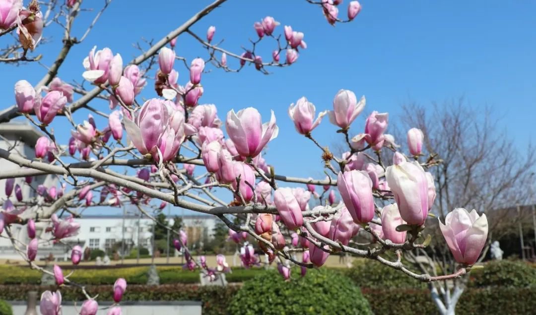 亿万先生MR·(中国集团)官方网站