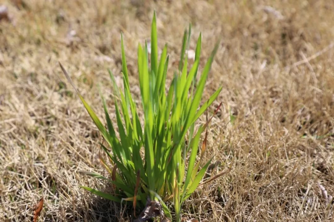 亿万先生MR·(中国集团)官方网站